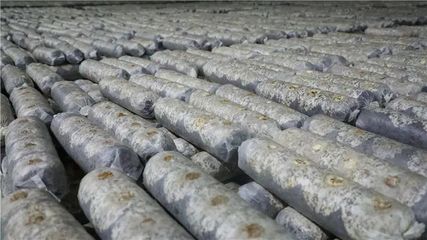 山陽、商南6個重點項目接受全市&ldquo;檢閱&rdquo;