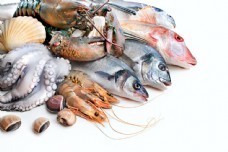 海鮮圖庫(kù)新寵 聚焦尤魚(yú)素材，一站式滿足你的設(shè)計(jì)與靈感需求